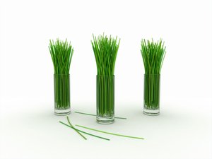 仿生狗机器人深度科普：四足运动控制